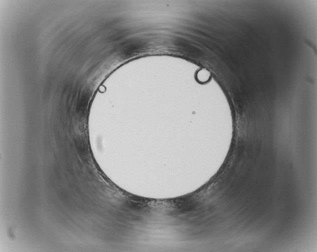 X0000103961089200810171857