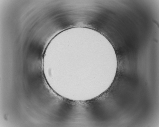 X0000103961092200810171856