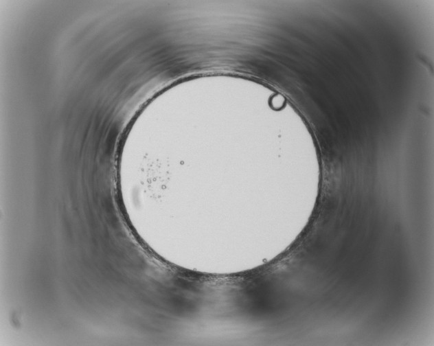 X0000103961093200810171856