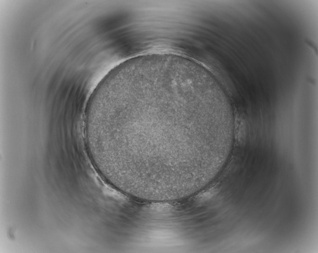 X0000103961094200810171856