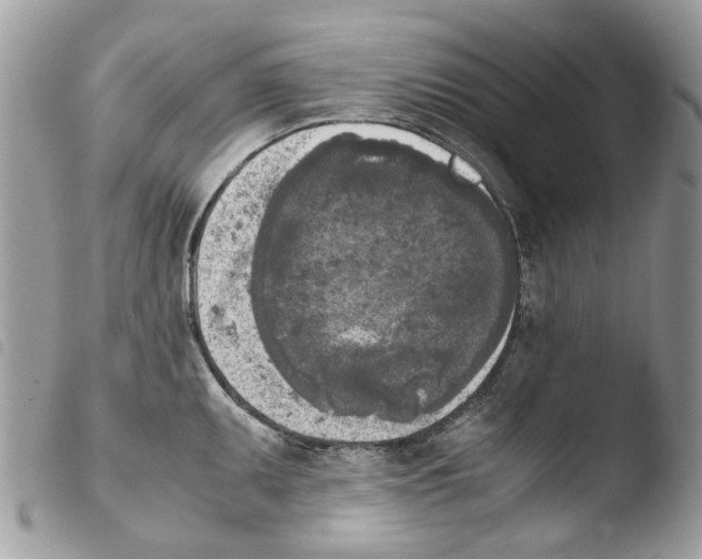 X0000103961095200810171856