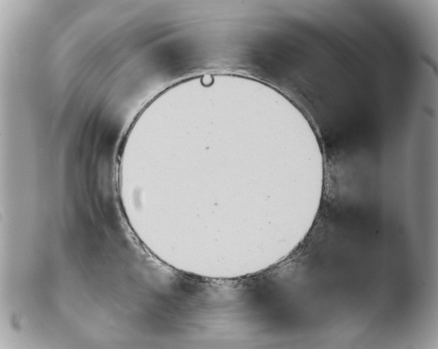 X0000103961096200810171856