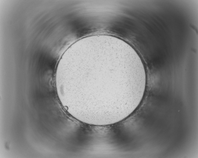 X0000103961097200810171856