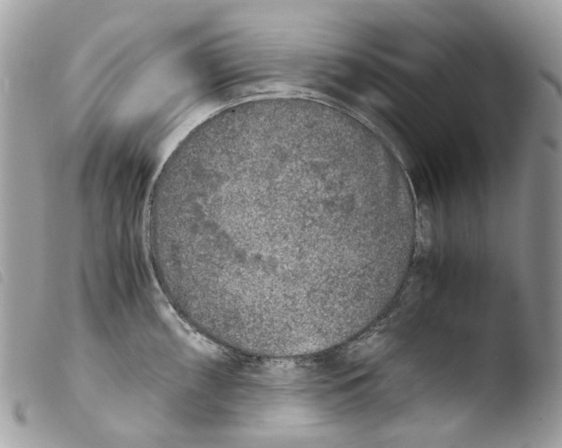 X0000103961098200810171856