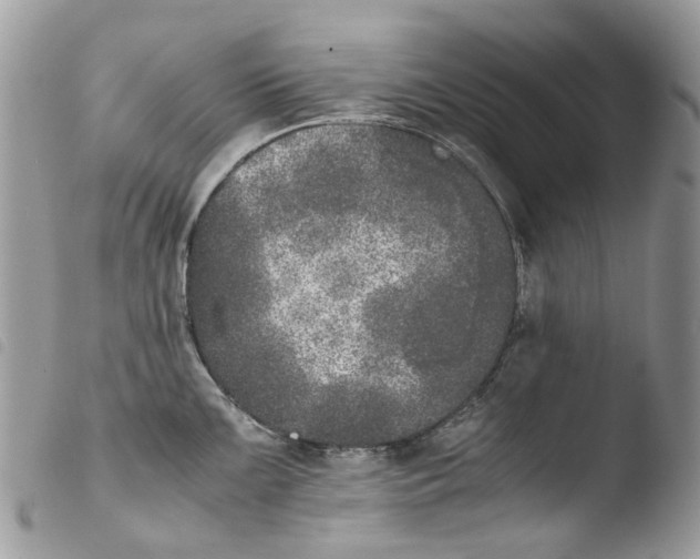 X0000103961099200810171856