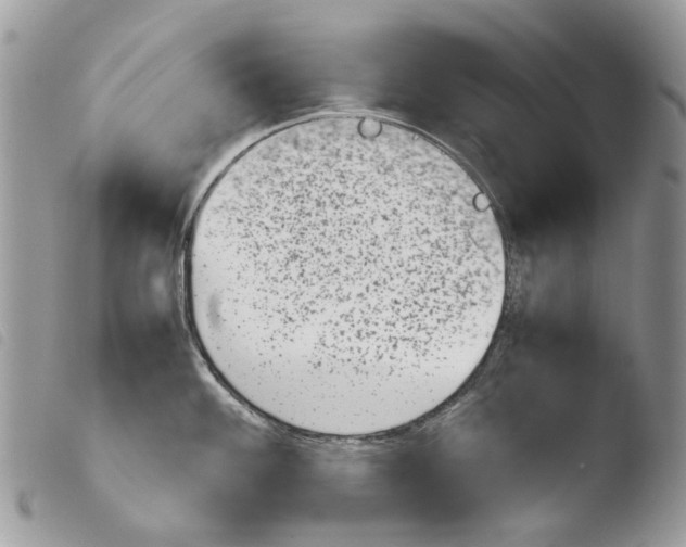 X0000103961100200810171856