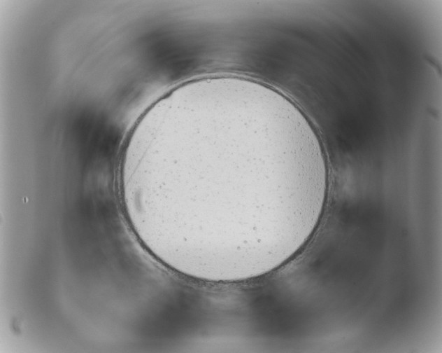 X0000103961101200810171856