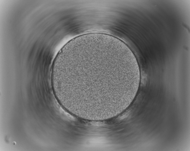 X0000103961102200810171856