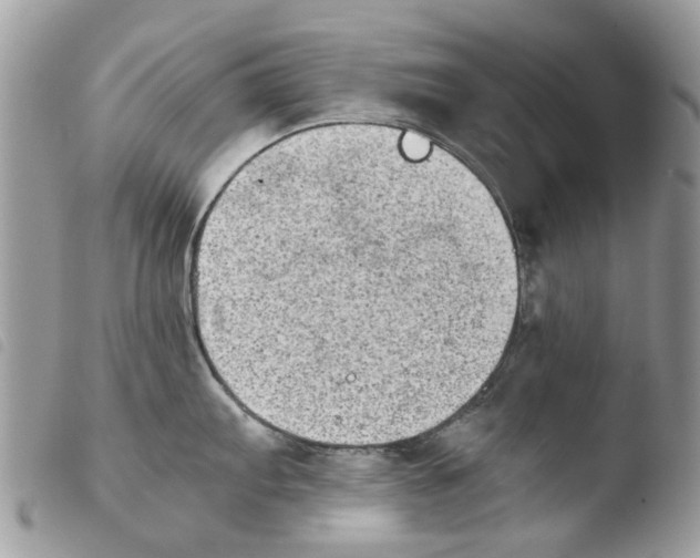 X0000103961103200810171856