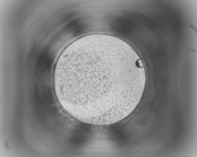 X0000103961104200810171856