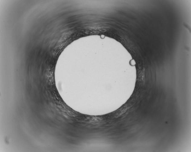 X0000103961109200810171856