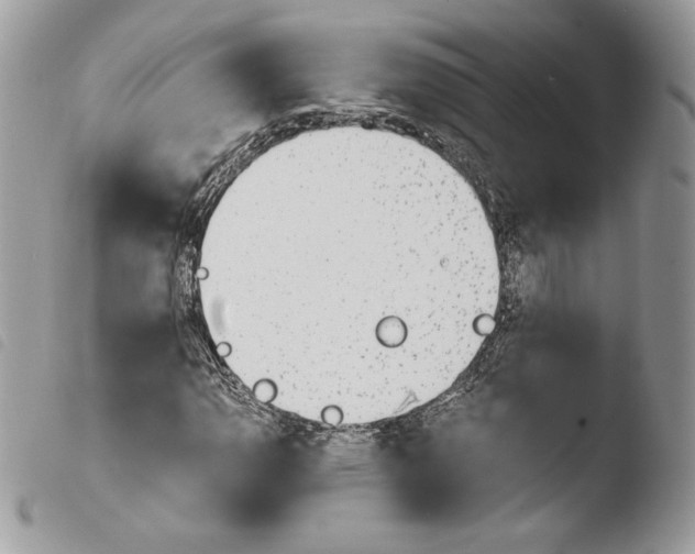 X0000103961110200810171856