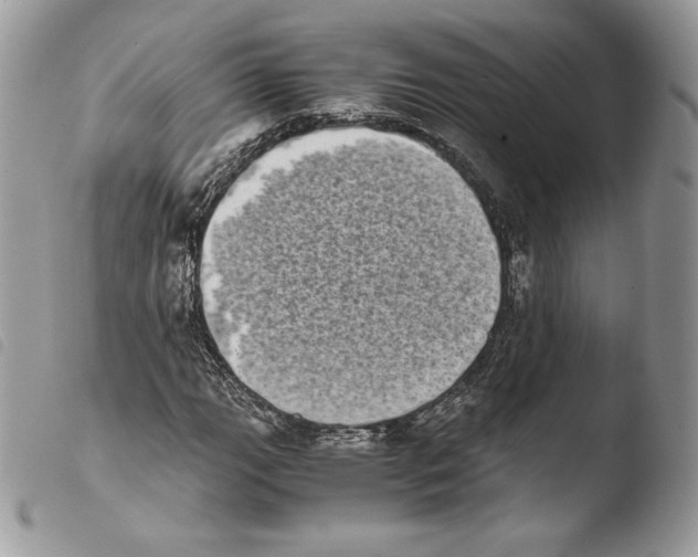 X0000103961111200810171856