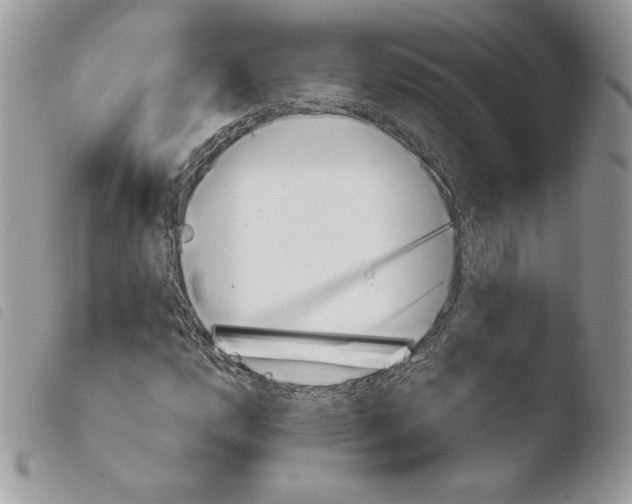 X0000103961112200810171856