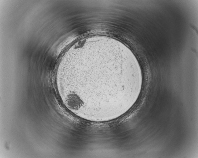 X0000103961113200810171856