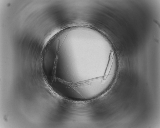 X0000103961114200810171856