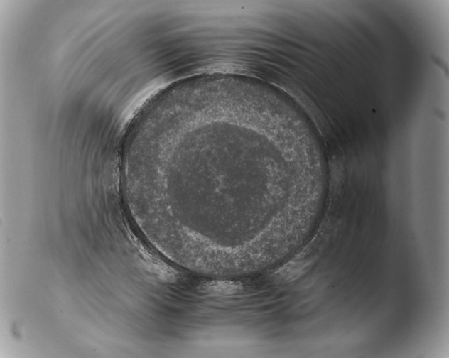 X0000103961115200810171856