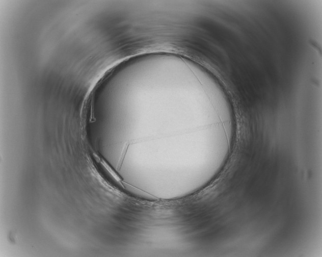 X0000103961116200810171856