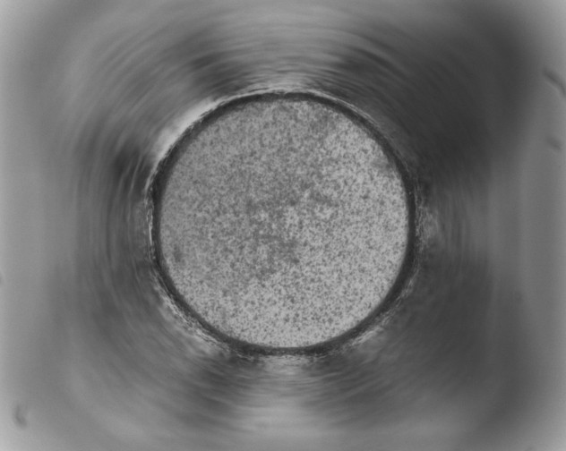 X0000103961118200810171856