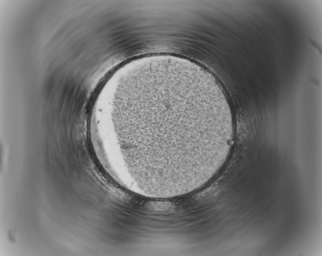 X0000103961119200810171856