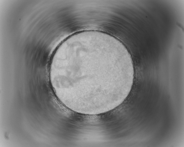 X0000103961120200810171856