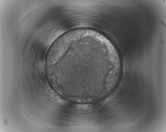 X0000103961121200810171856