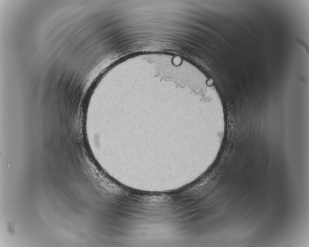 X0000103961122200810171856