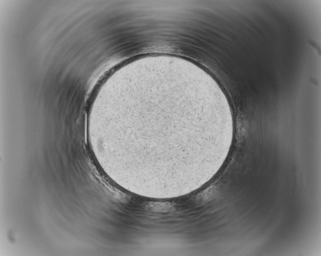 X0000103961123200810171856