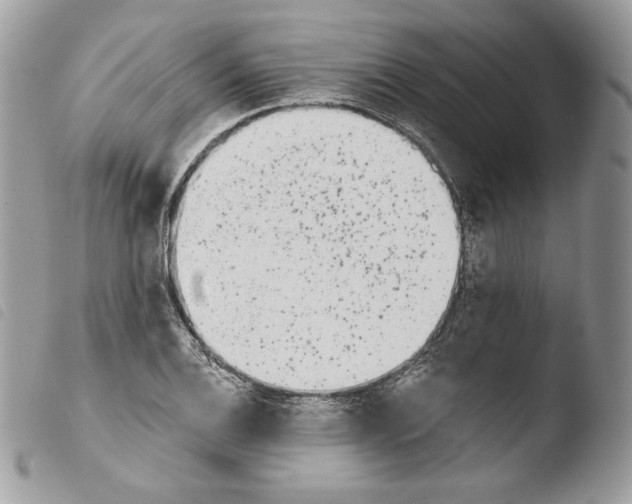 X0000103961124200810171856