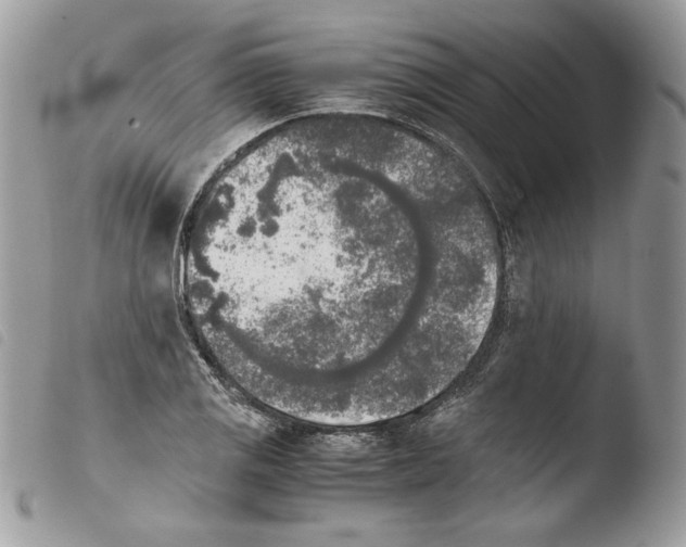 X0000103961125200810171856