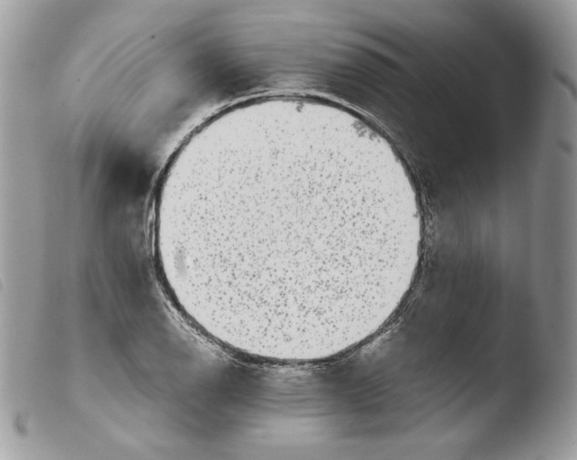 X0000103961126200810171856