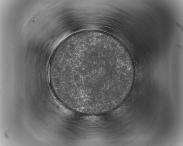 X0000103961127200810171856