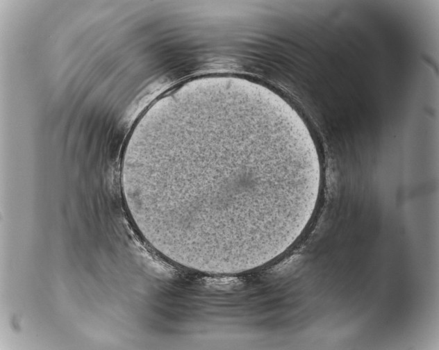 X0000103961129200810171856