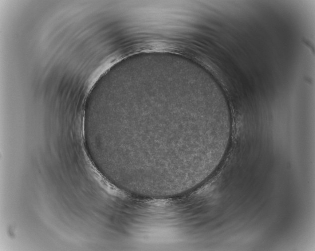 X0000103961130200810171856