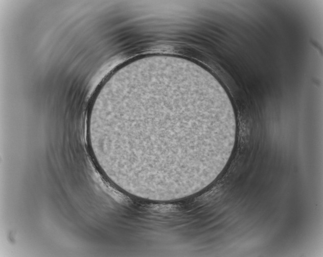 X0000103961131200810171856