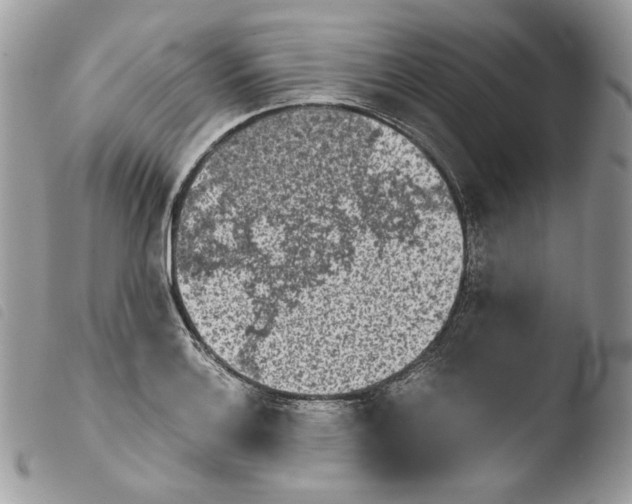 X0000103961132200810171856