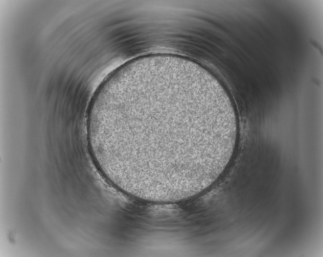 X0000103961133200810171856