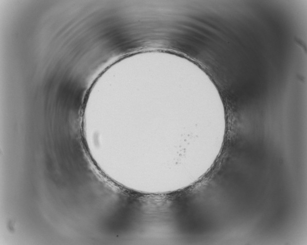 X0000103961134200810171856