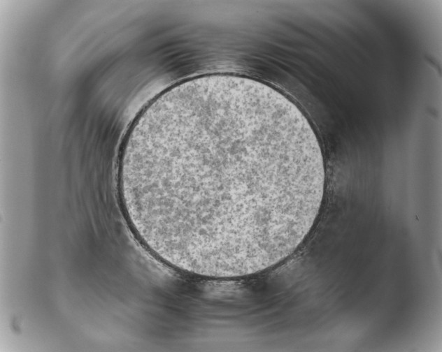 X0000103961135200810171856