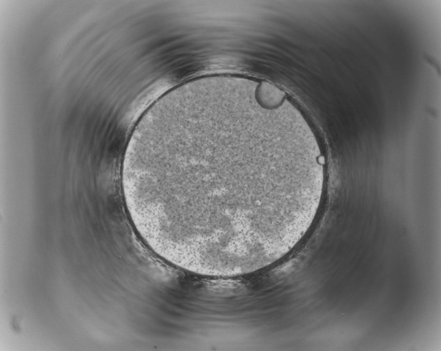 X0000103961137200810171856