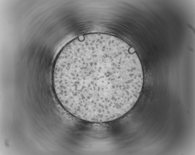 X0000103961138200810171856