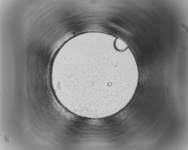 X0000103961139200810171856