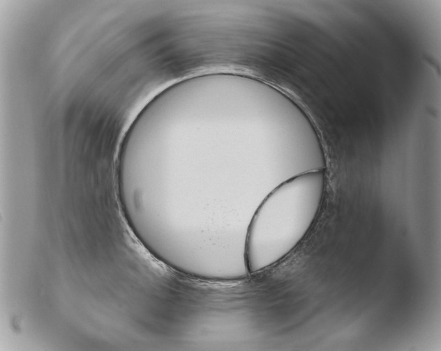 X0000103961140200810171856