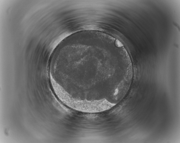 X0000103961141200810171856