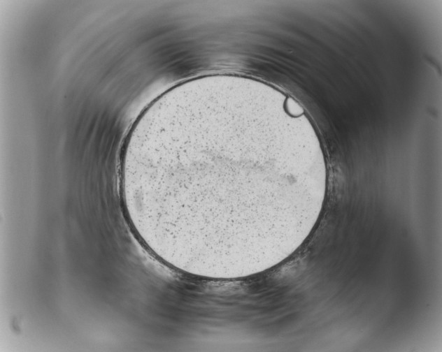 X0000103961143200810171856