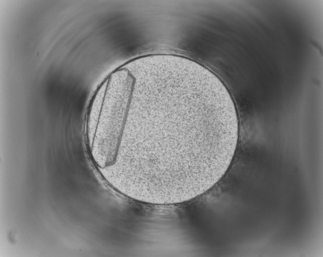 X0000103961144200810171856