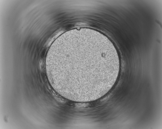 X0000103961145200810171856