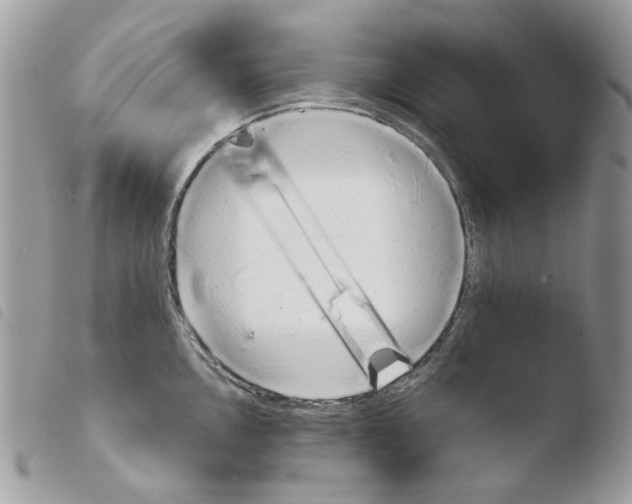 X0000103961146200810171856