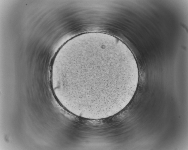 X0000103961147200810171856