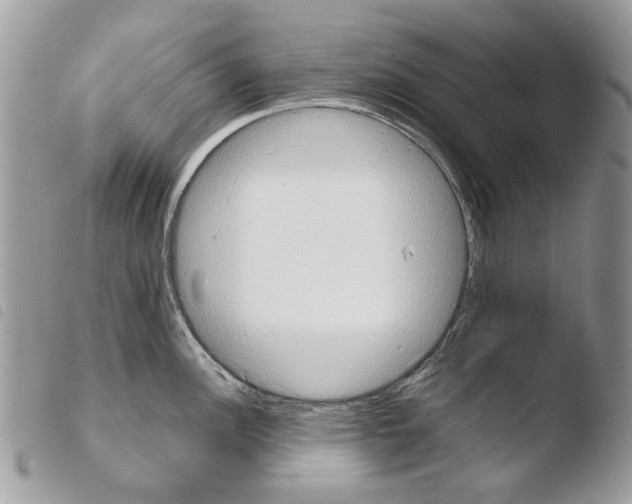 X0000103961148200810171856